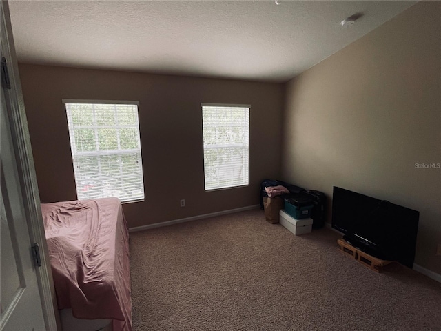 interior space featuring a wealth of natural light and carpet floors