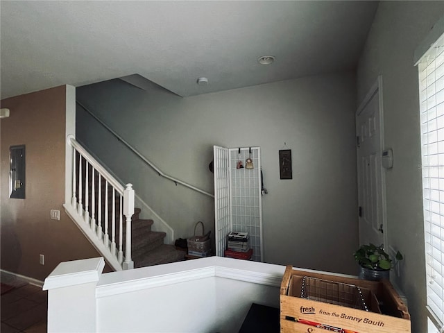 10453 Westpark Preserve Blvd, Tampa, FL 33625 - stairway featuring baseboards and electric panel
