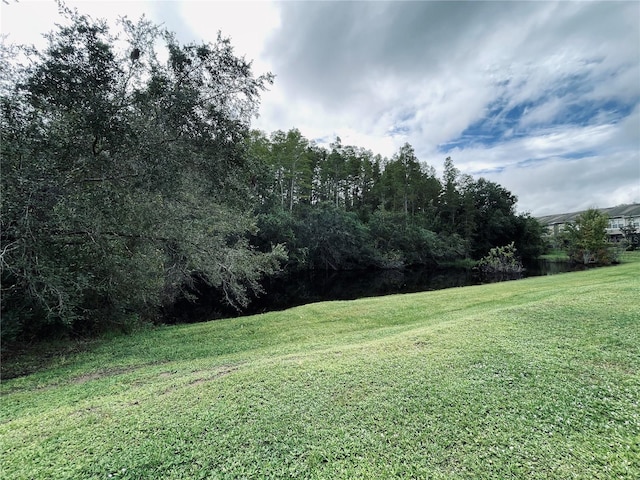 10453 Westpark Preserve Blvd, Tampa, FL 33625 - view of grassy yard