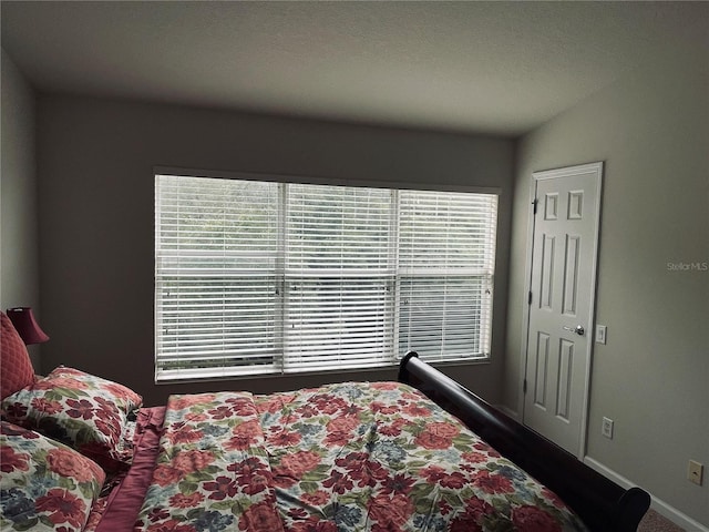 10453 Westpark Preserve Blvd, Tampa, FL 33625 - bedroom featuring multiple windows and baseboards