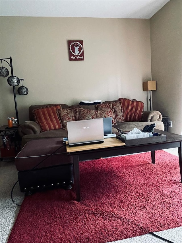 10453 Westpark Preserve Blvd, Tampa, FL 33625 - living area featuring carpet flooring