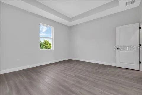 unfurnished room featuring a raised ceiling and dark hardwood / wood-style flooring