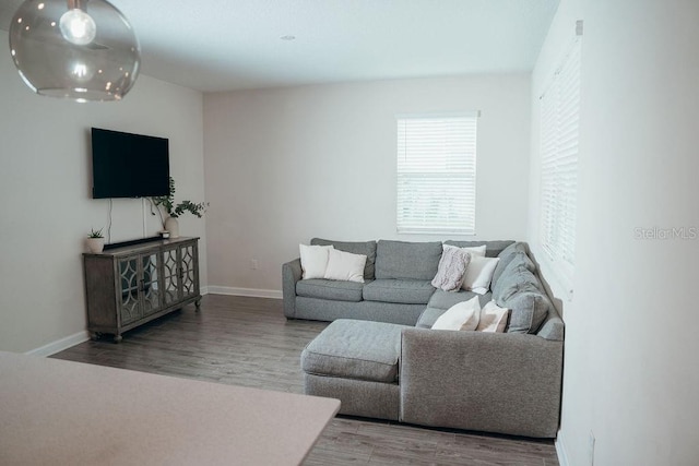 living room featuring wood-type flooring