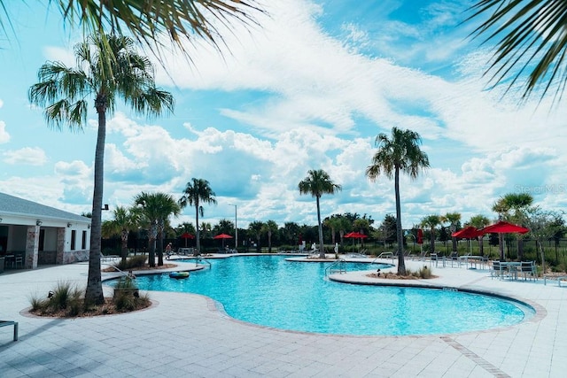 view of pool featuring a patio