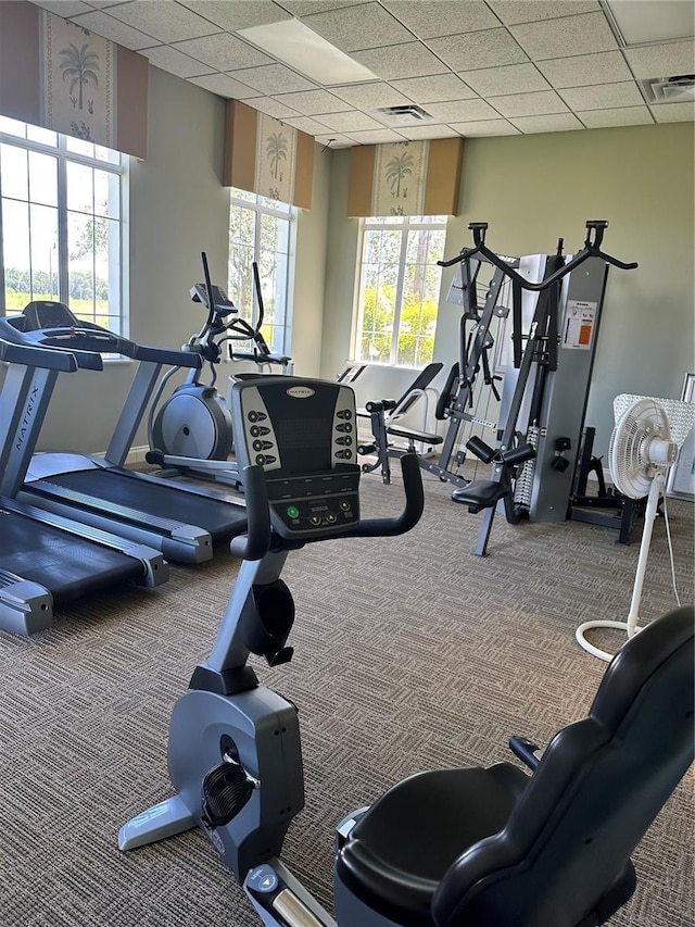 workout area featuring a drop ceiling and carpet floors