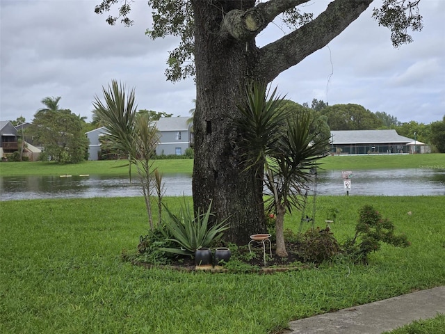 property view of water