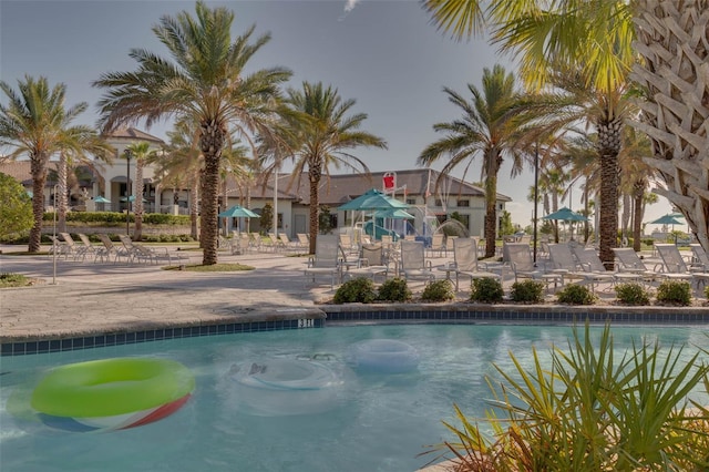 view of swimming pool