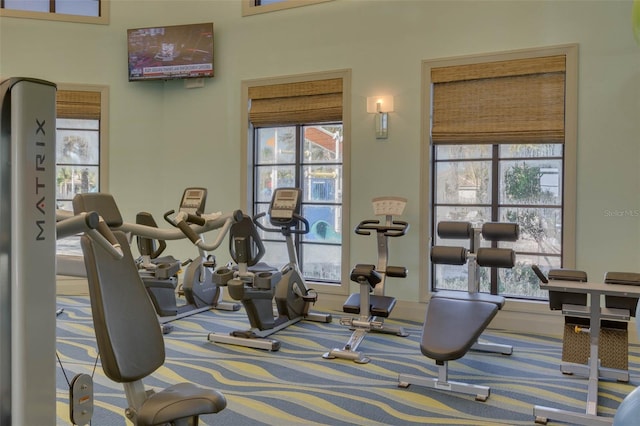 workout area featuring a wealth of natural light and carpet floors