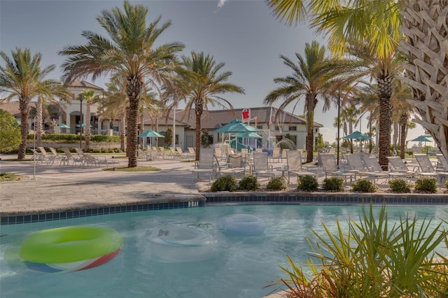 view of swimming pool with a patio