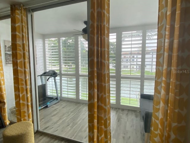 doorway with ceiling fan, expansive windows, and light hardwood / wood-style floors