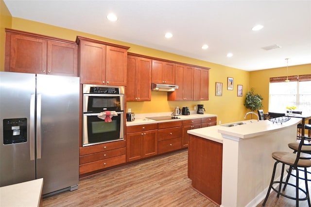 kitchen with an island with sink, sink, light hardwood / wood-style floors, pendant lighting, and appliances with stainless steel finishes