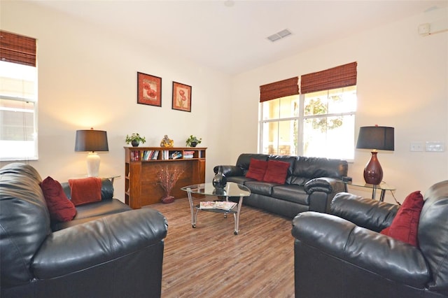 living room featuring wood-type flooring