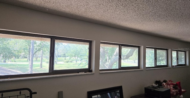 interior details with a textured ceiling