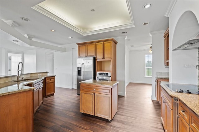 kitchen with stainless steel appliances, a raised ceiling, sink, and dark hardwood / wood-style flooring