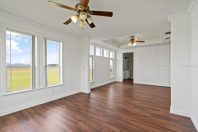 empty room with plenty of natural light, dark hardwood / wood-style floors, and a raised ceiling