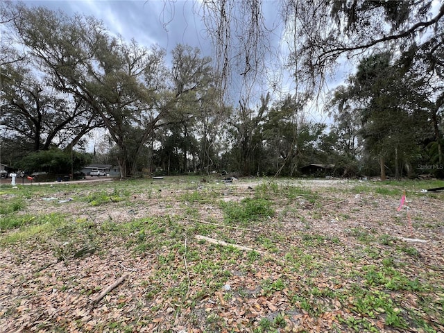 270 SE 80th Pl, Ocala FL, 34480 land for sale