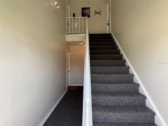 stairs with carpet floors