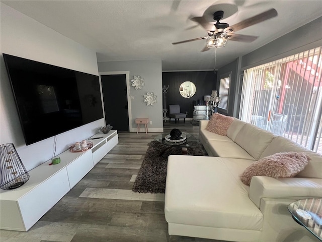 living room with ceiling fan, plenty of natural light, and dark hardwood / wood-style flooring