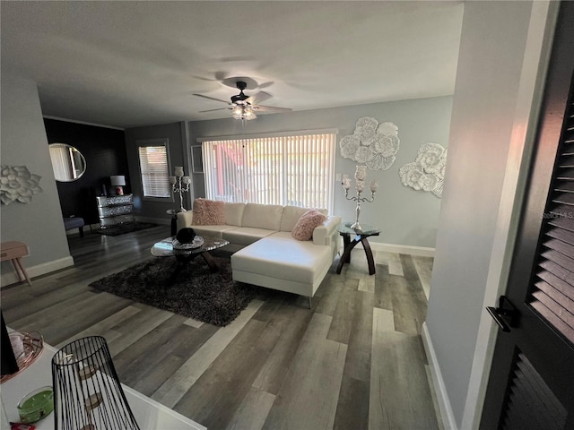 living room featuring ceiling fan and hardwood / wood-style floors