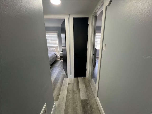 hallway with dark hardwood / wood-style flooring