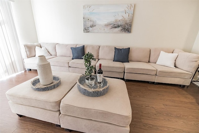 living room with dark hardwood / wood-style floors