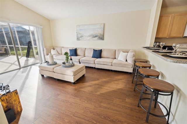 living room featuring lofted ceiling and dark wood-type flooring