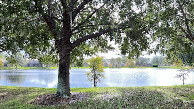 property view of water