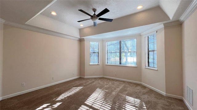 empty room featuring carpet, a textured ceiling, a raised ceiling, and crown molding