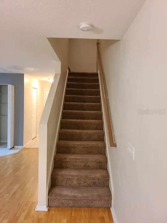 stairs featuring wood-type flooring