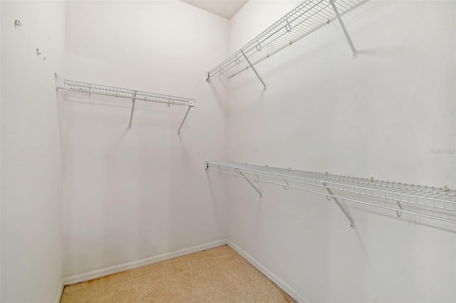 spacious closet with light carpet