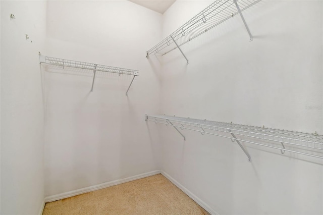 196 Ventana Dr, Kissimmee, FL 34759 - walk in closet with light colored carpet