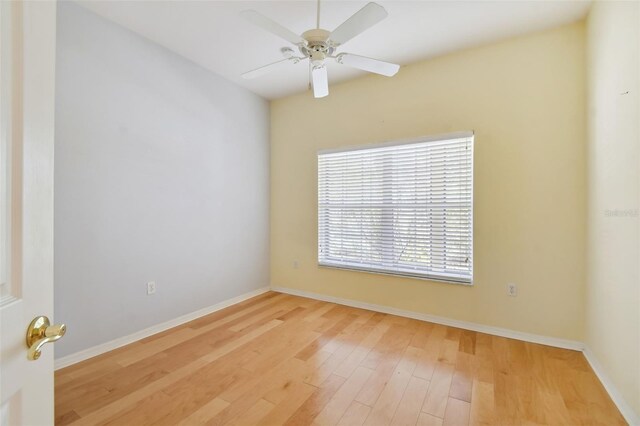 196 Ventana Dr, Kissimmee, FL 34759 - unfurnished room featuring light wood-style flooring, a ceiling fan, and baseboards