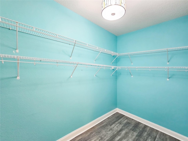 spacious closet featuring hardwood / wood-style flooring