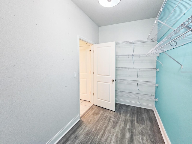 spacious closet featuring dark hardwood / wood-style flooring