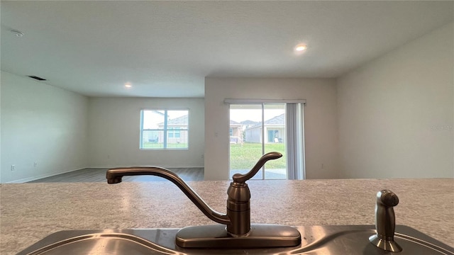 interior space featuring sink and wood-type flooring