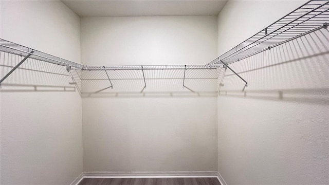 walk in closet featuring dark wood-type flooring