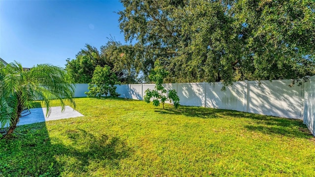 view of yard with a patio area