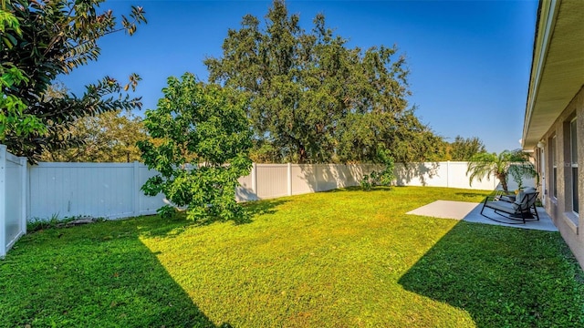 view of yard with a patio area