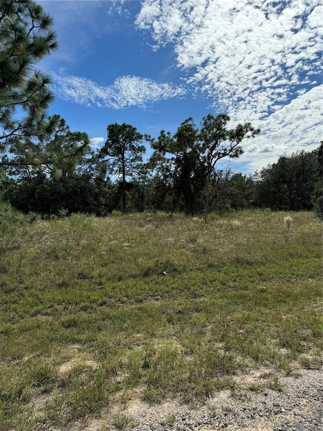 3358 W Nieman Dr, Dunnellon FL, 34433 land for sale