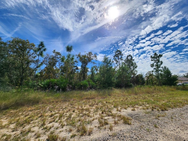 3336 W Nieman Dr, Dunnellon FL, 34433 land for sale