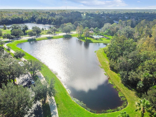 drone / aerial view with a water view