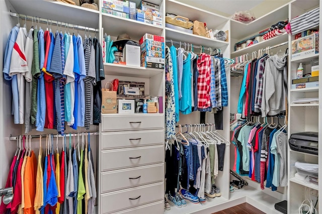 walk in closet featuring hardwood / wood-style flooring