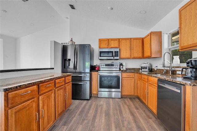 kitchen with lofted ceiling, sink, appliances with stainless steel finishes, and dark hardwood / wood-style flooring