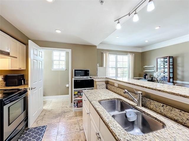 kitchen with a healthy amount of sunlight, sink, ornamental molding, and stainless steel appliances