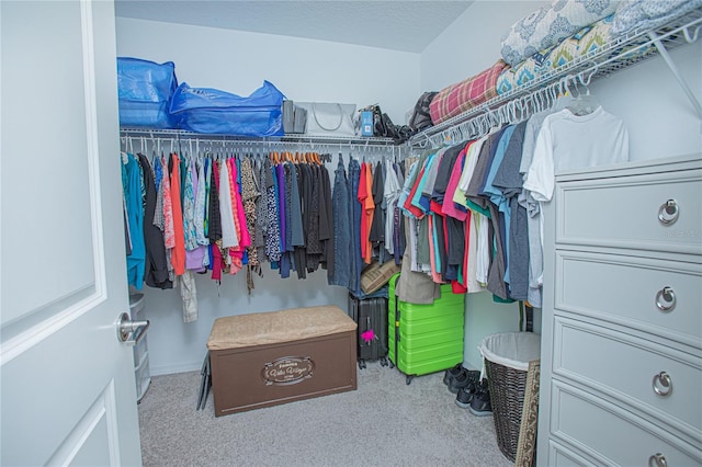 spacious closet featuring light carpet