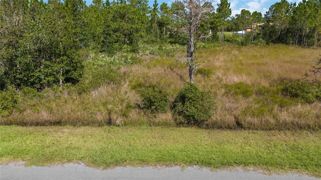 Overton St, Orlando FL, 32833 land for sale