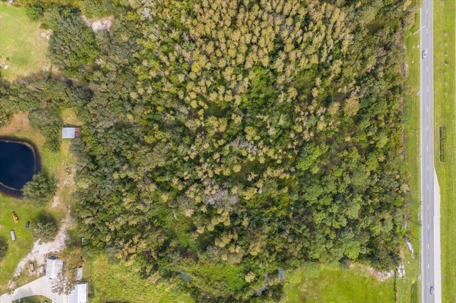0 Pleasant Hill Rd, Kissimmee, FL 34746 - photo 3