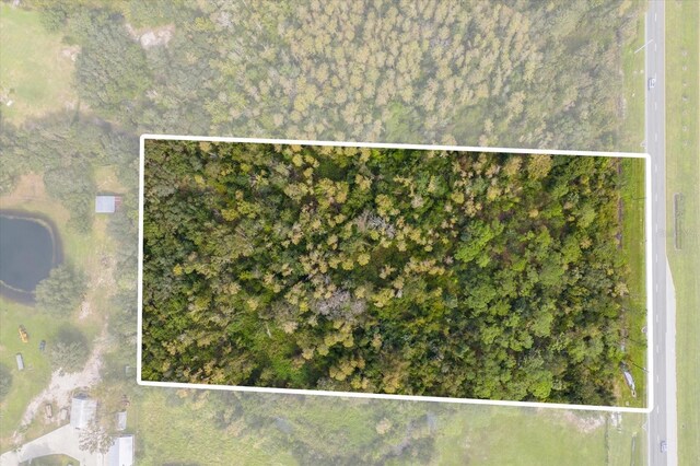 0 Pleasant Hill Rd, Kissimmee, FL 34746 - photo 5