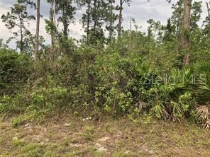 2816 25th St SW, Lehigh Acres FL, 33976 land for sale