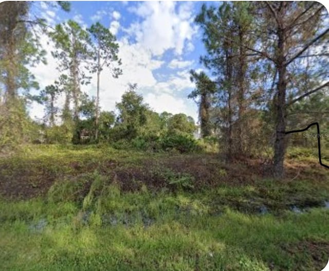 1223 Wahneta Dr, Kissimmee FL, 34759 land for sale